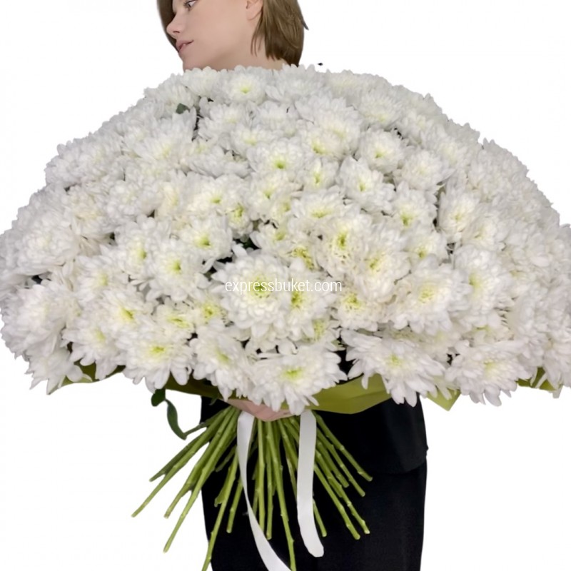 Букет из 75 белых хризантем 