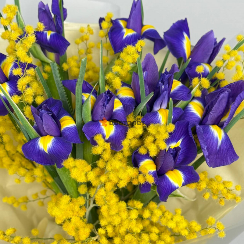 Солнечная весна