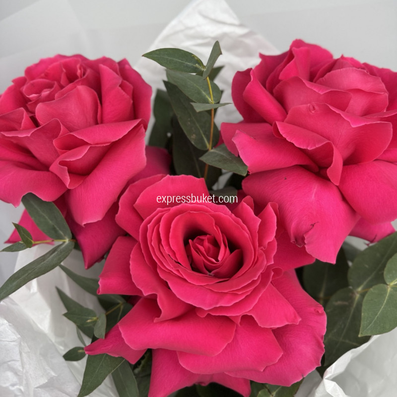 Французский поцелуй