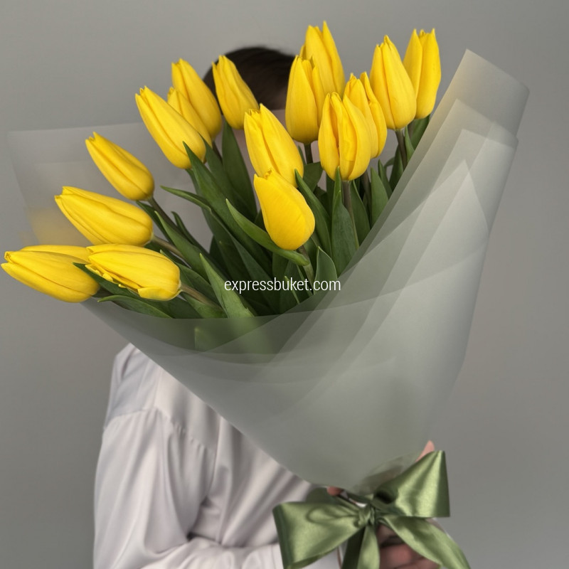 Голландский роман