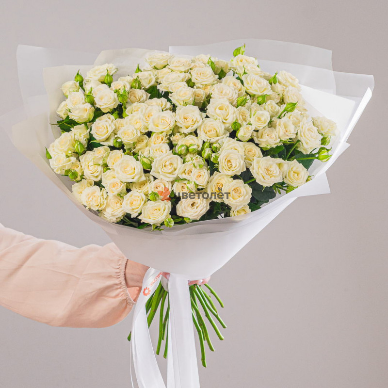 Песочный туман 25 роз