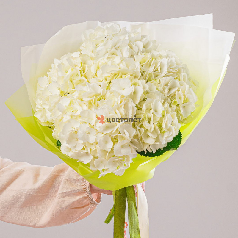 Лепестки чувств