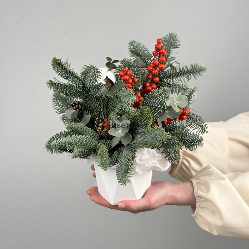 Зимняя композиция в кашпо