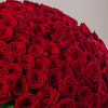 101 красная роза 70см