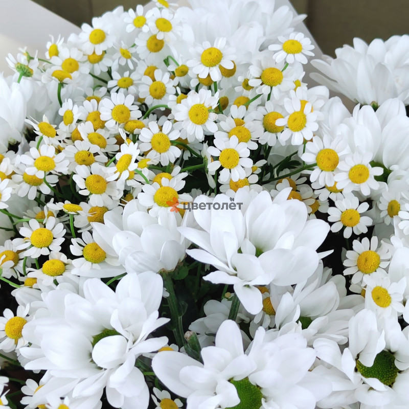 Букет с хризантемой и танацетумом